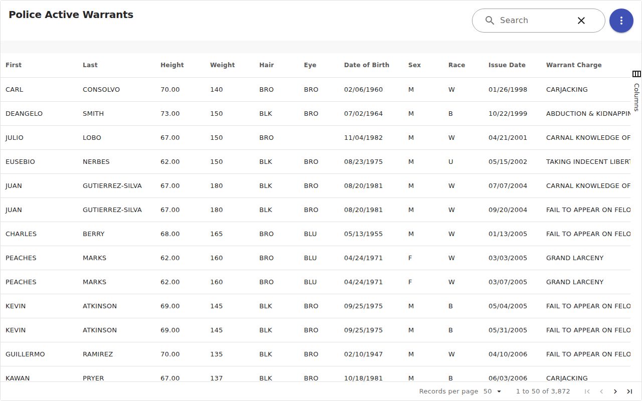 Norfolk City warrant search data controls on the official active-warrant dataset